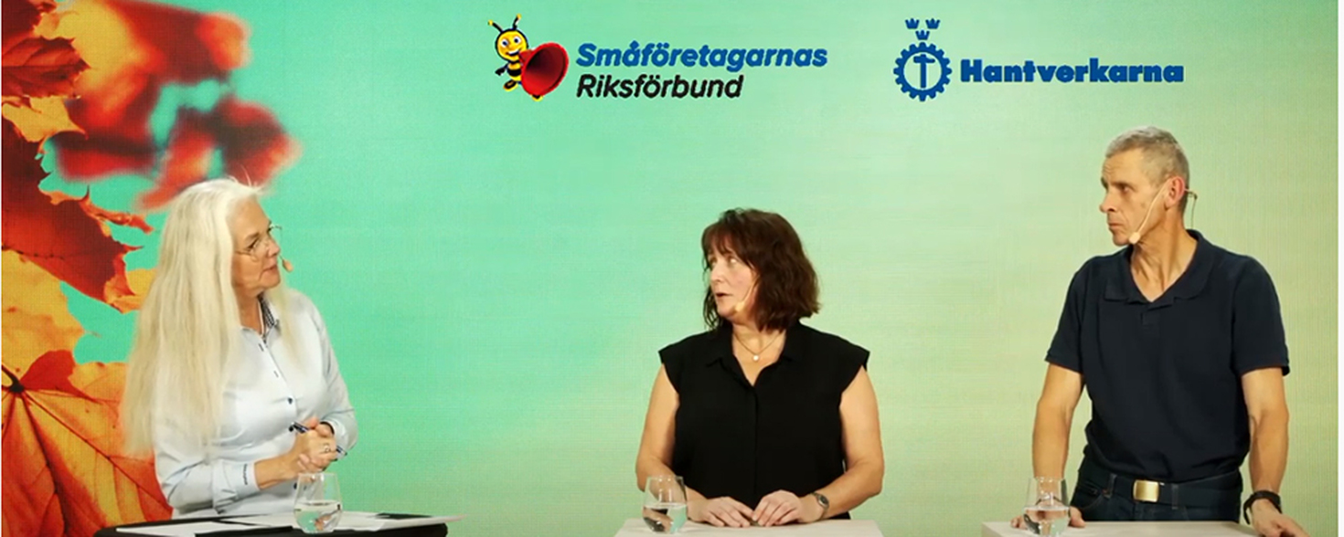 Missade du webbinariet De orättvisa företagsformerna?