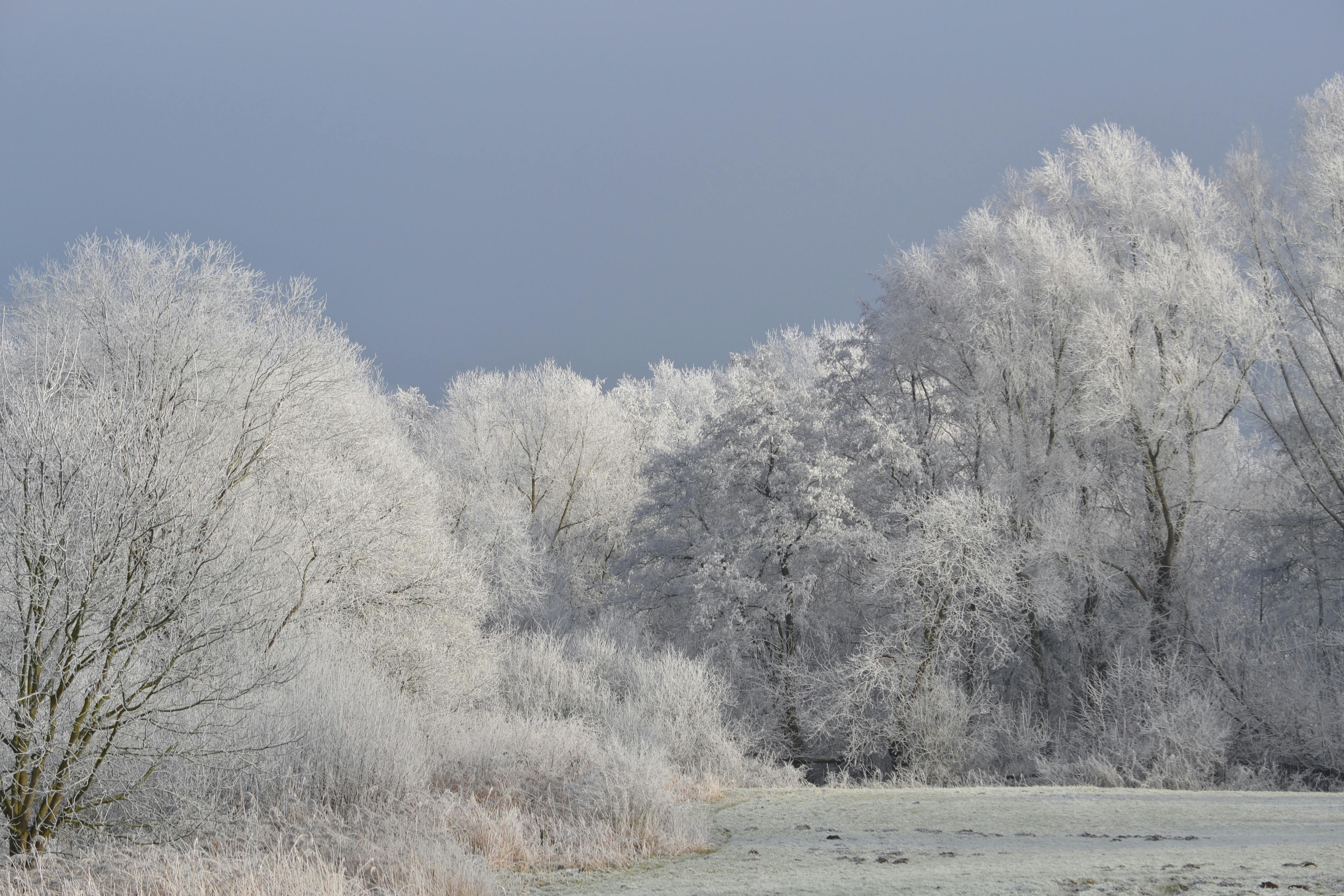 Foto av Navn Foto av